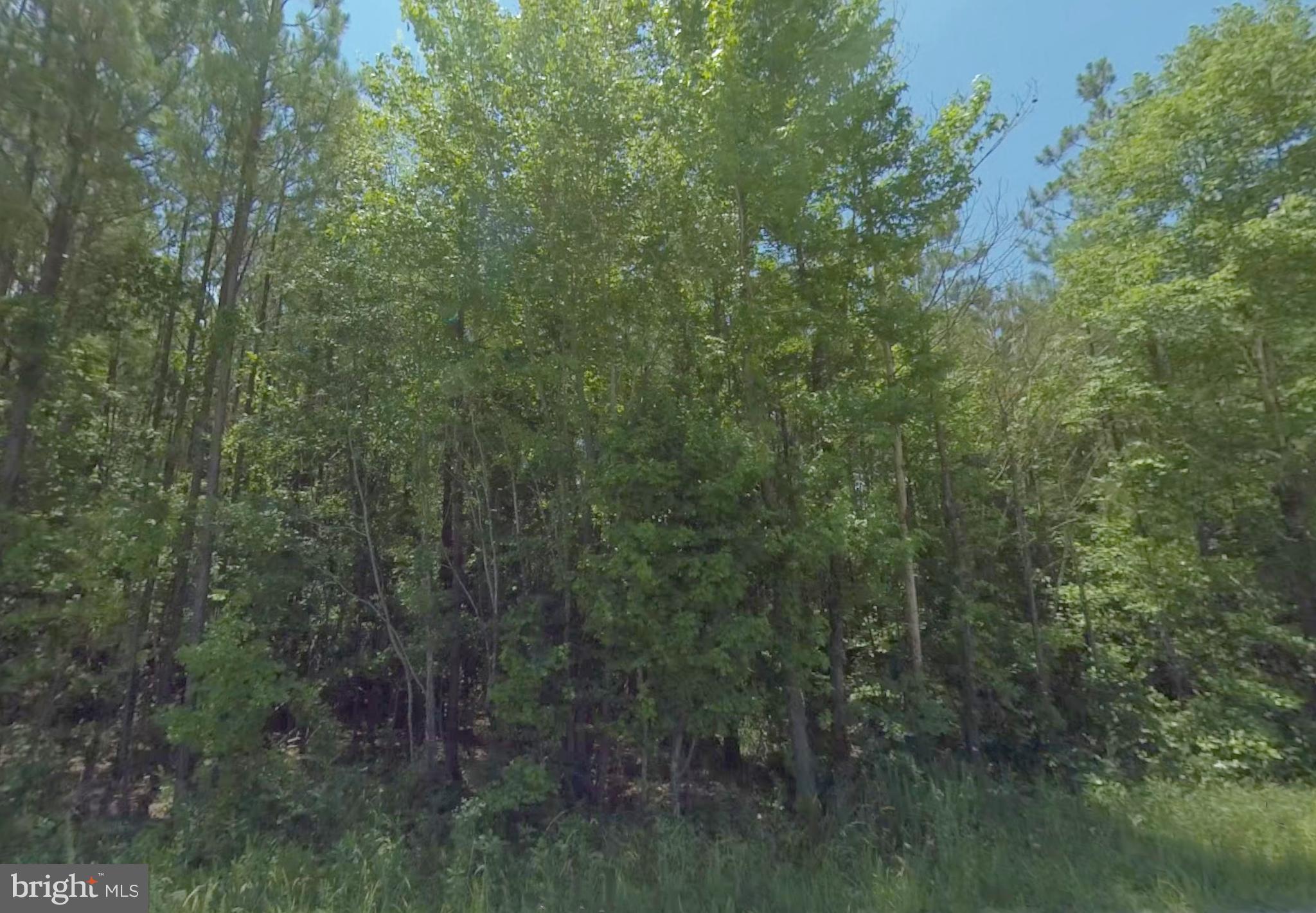 Lot 6 Dillard Road Lawrenceville, VA 23868 - Photo 6 of 10