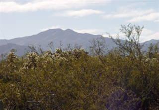 9790 East Andrada Road, Unit 2AC Vail, AZ 85641 - Photo 8 of 9