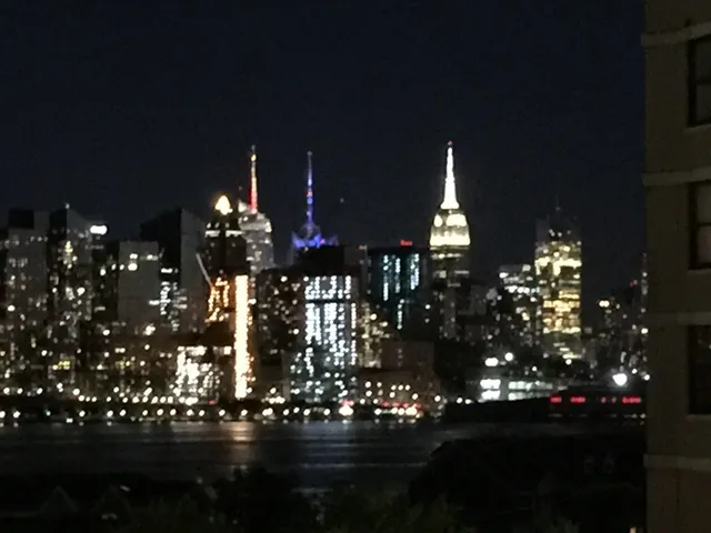 a room with lots of flowers