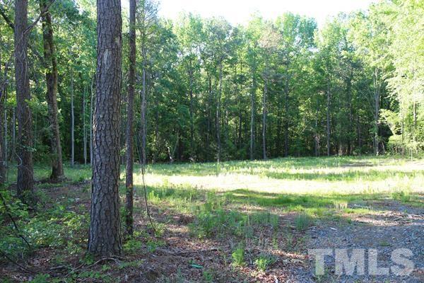 9420 Baker Road Zebulon, NC 27597 - Photo 1 of 6 a view of backyard with large trees