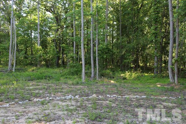9420 Baker Road Zebulon, NC 27597 - Photo 3 of 6 a view of a forest