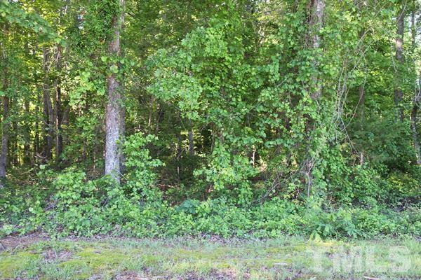 9420 Baker Road Zebulon, NC 27597 - Photo 5 of 6 a view of a lush green forest