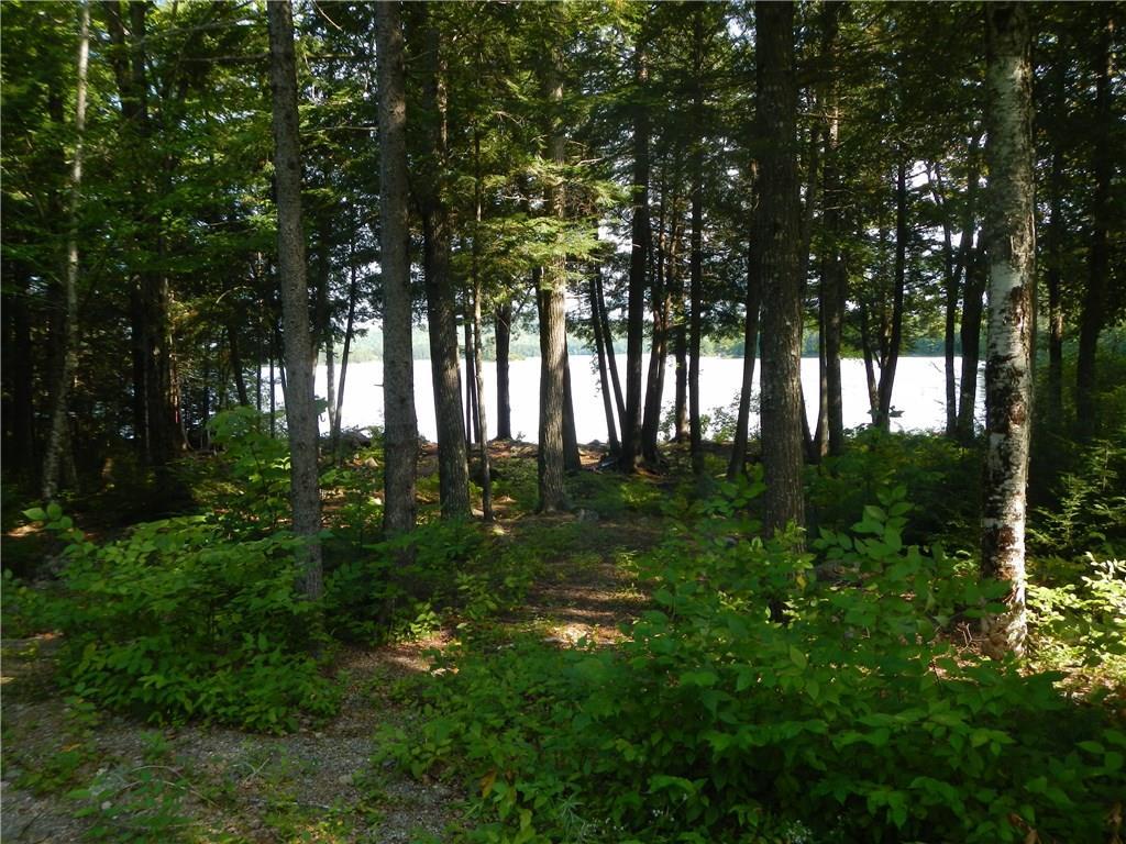 Tbd Tbd Eskutassis & Spruce Point Road Lowell, ME 04493 - Photo 7 of 23 Photo