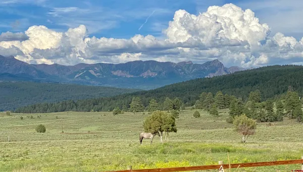 $1,028,000 | 2439 County Road 359, Pagosa Springs, CO 81147
