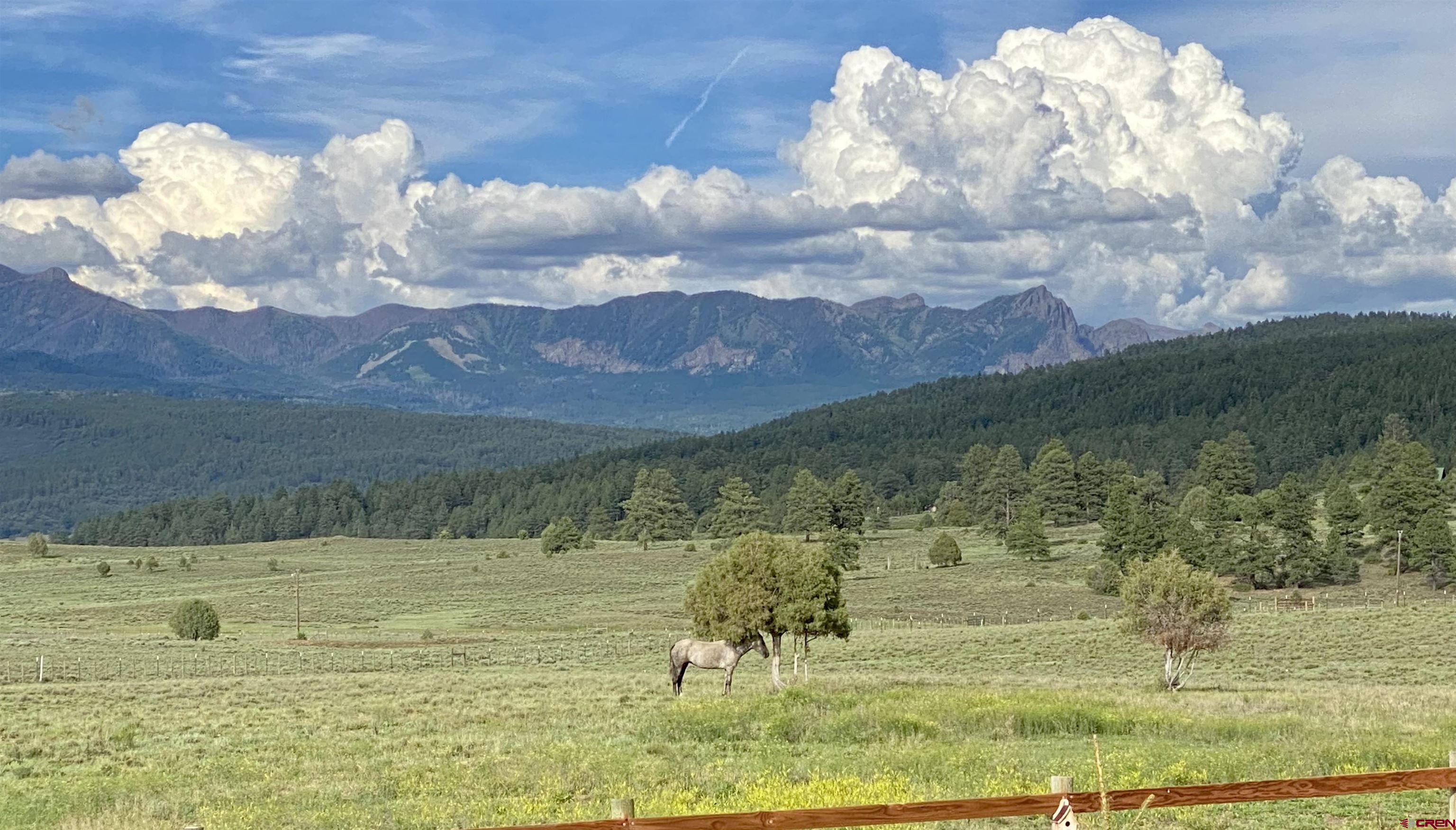 2439 County Road 359 Pagosa Springs, CO 81147 - Photo 11 of 45 a view of a lake in middle of the town