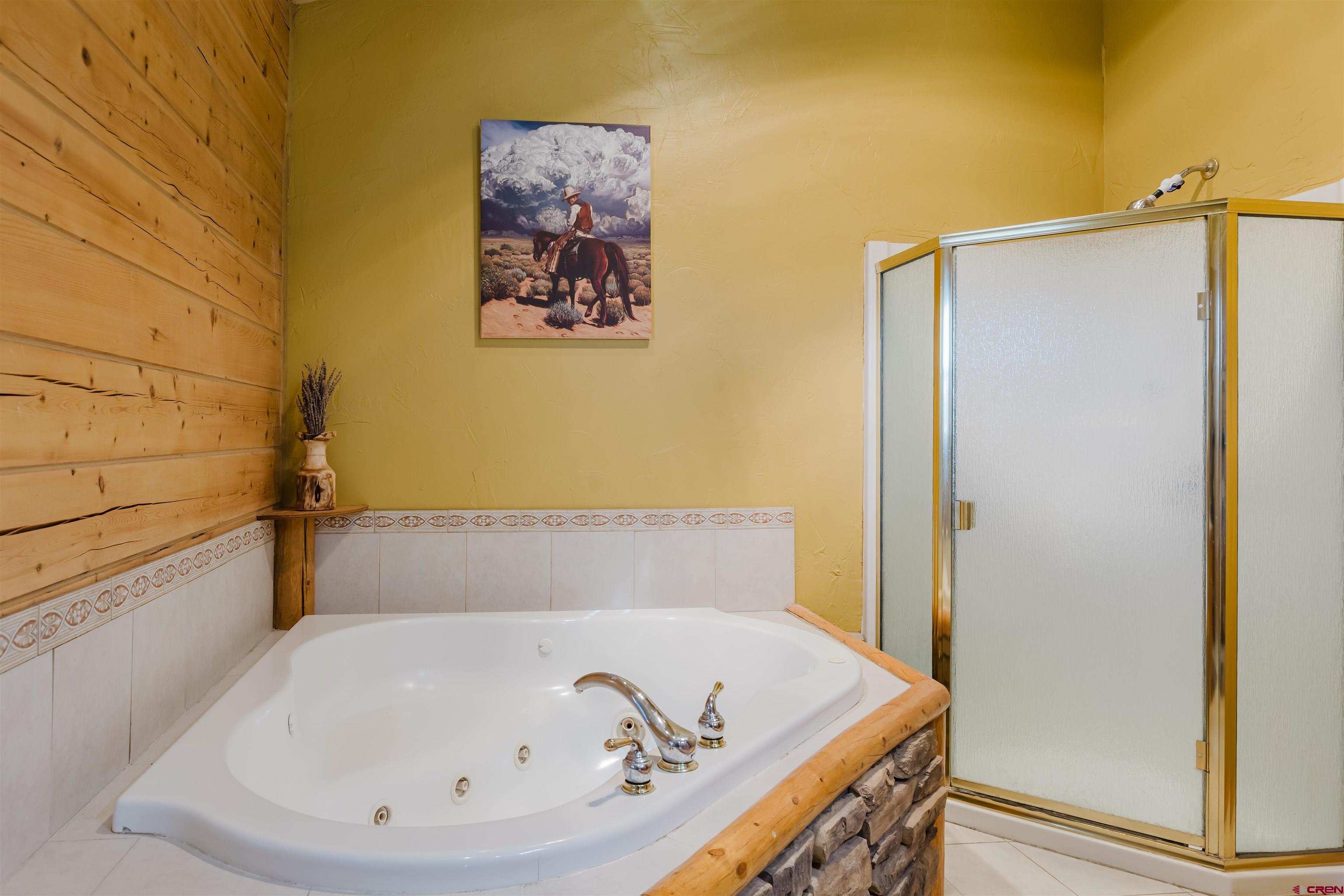 2439 County Road 359 Pagosa Springs, CO 81147 - Photo 26 of 45 a bathroom with a tub and a shower