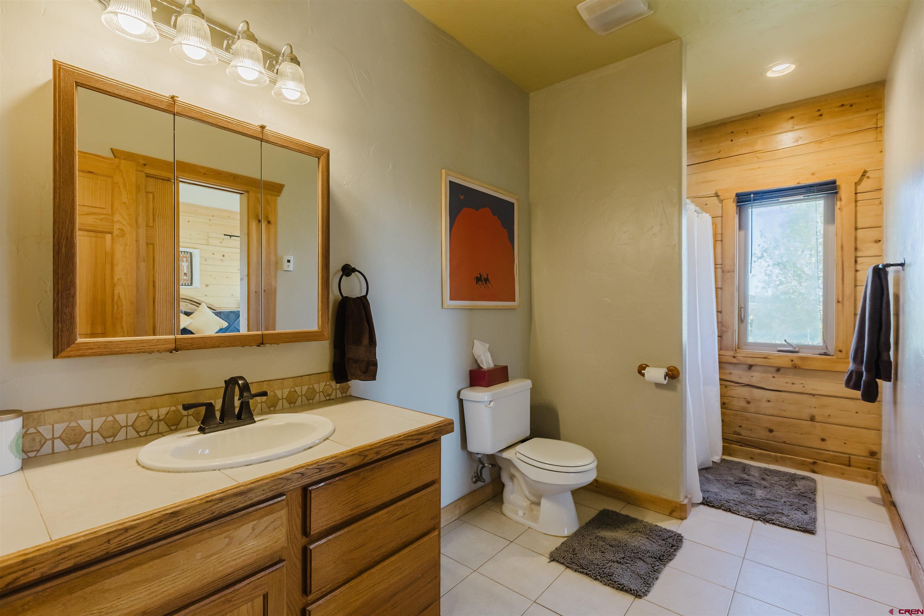 2439 County Road 359 Pagosa Springs, CO 81147 - Photo 31 of 45 a bathroom with a sink a toilet and a large mirror