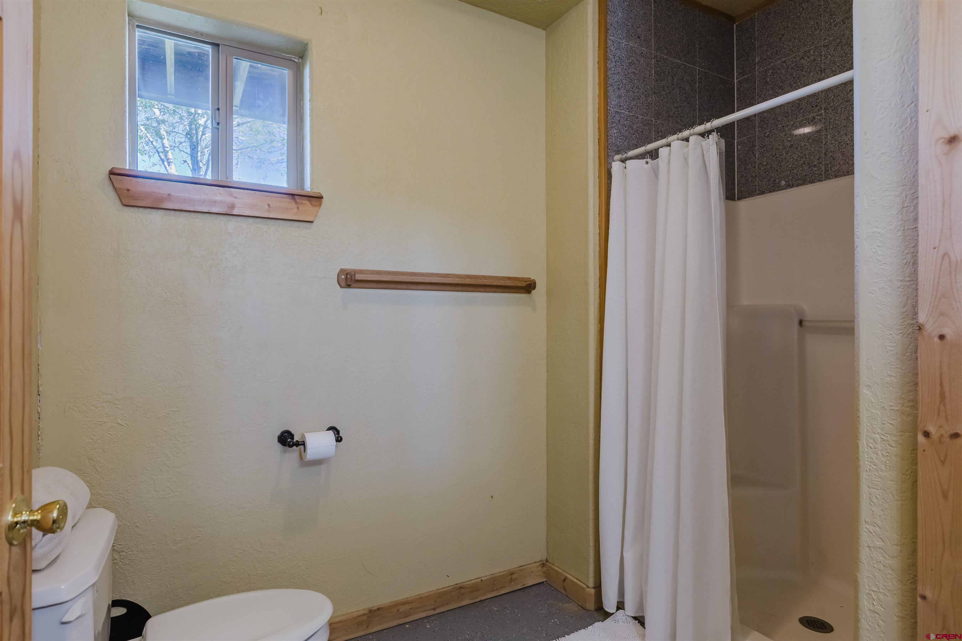 2439 County Road 359 Pagosa Springs, CO 81147 - Photo 34 of 45 a bathroom with a toilet and a shower
