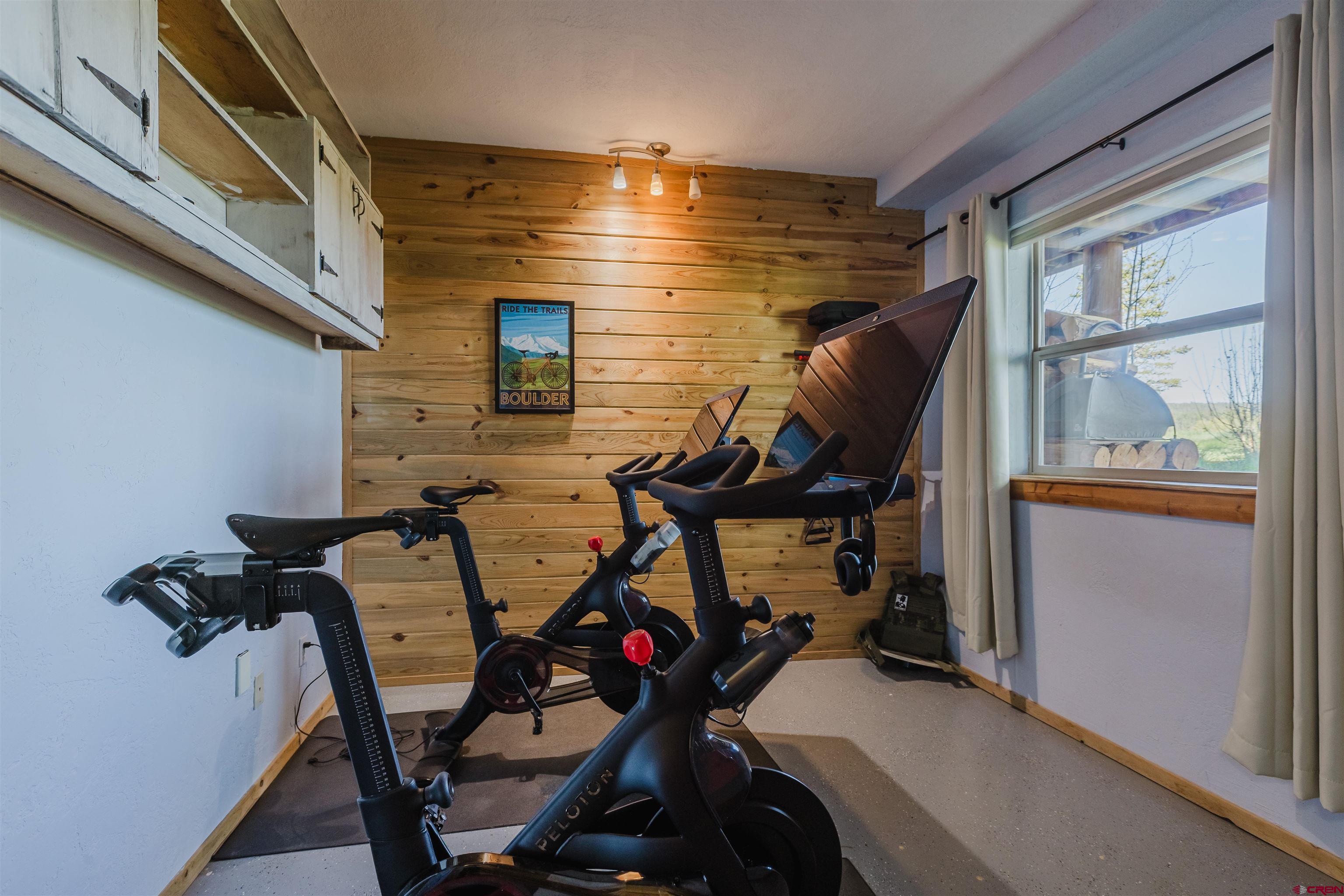 2439 County Road 359 Pagosa Springs, CO 81147 - Photo 41 of 45 a view of a room with gym equipment