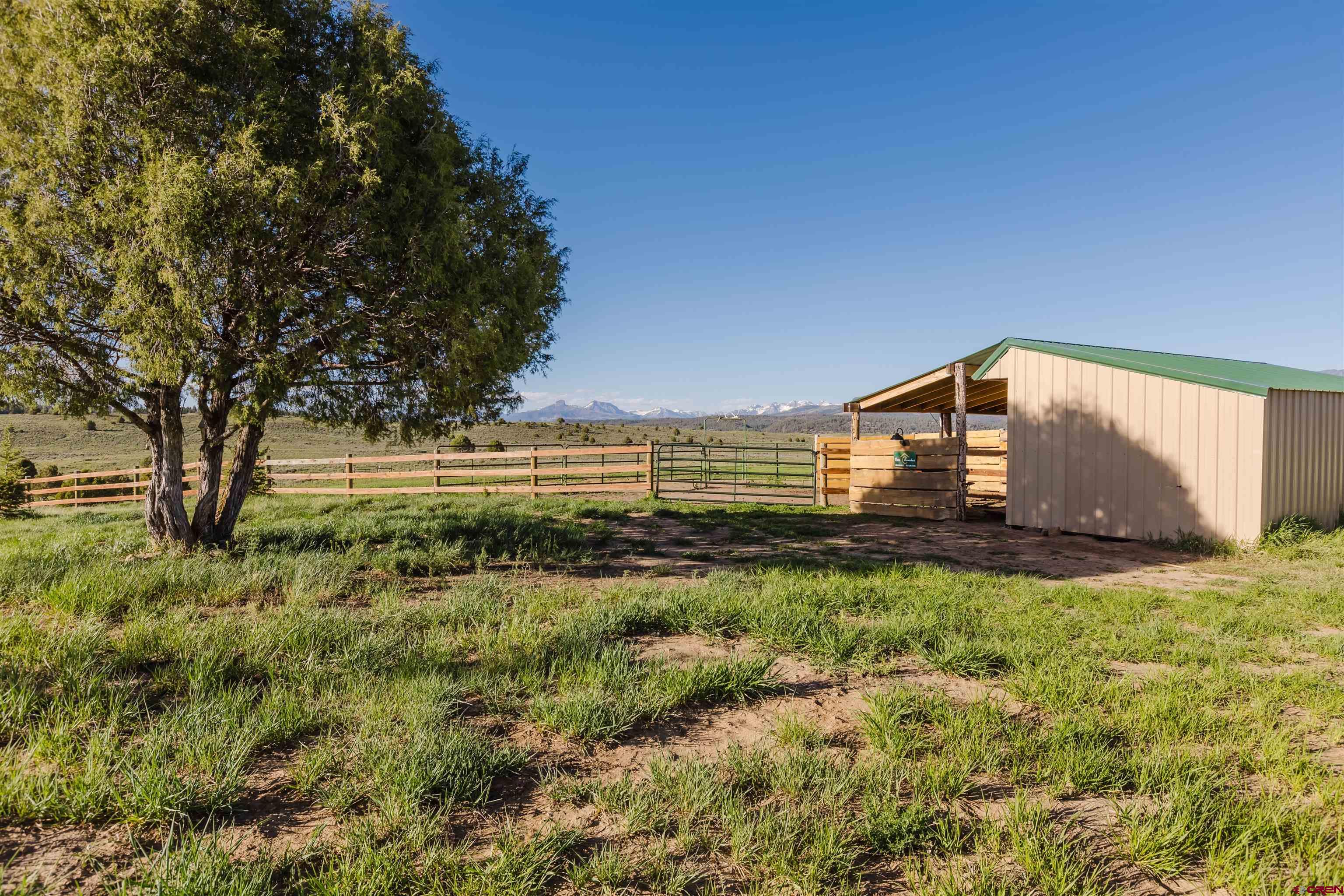 2439 County Road 359 Pagosa Springs, CO 81147 - Photo 44 of 45 a view of a back yard