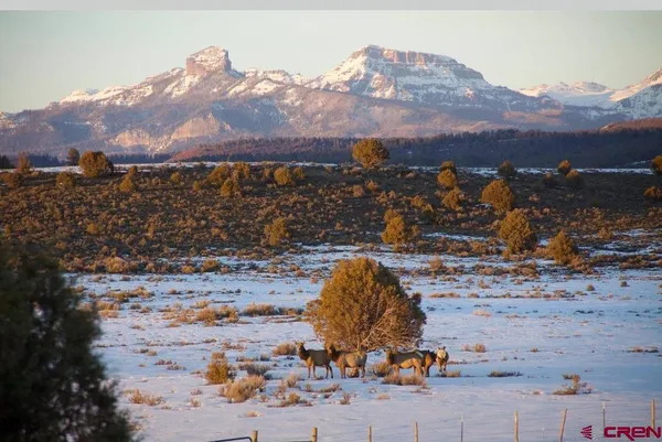 $1,028,000 | 2439 County Road 359, Pagosa Springs, CO 81147