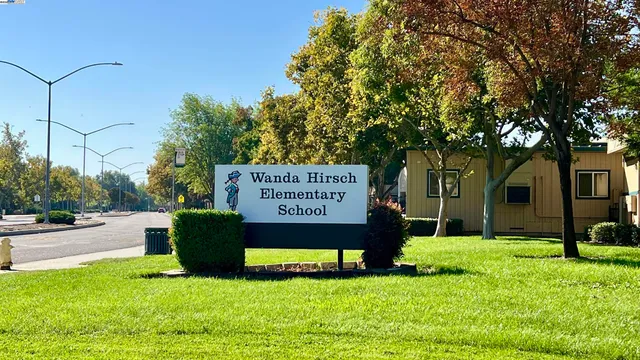 a view of a backyard with table and chairs and a large tree