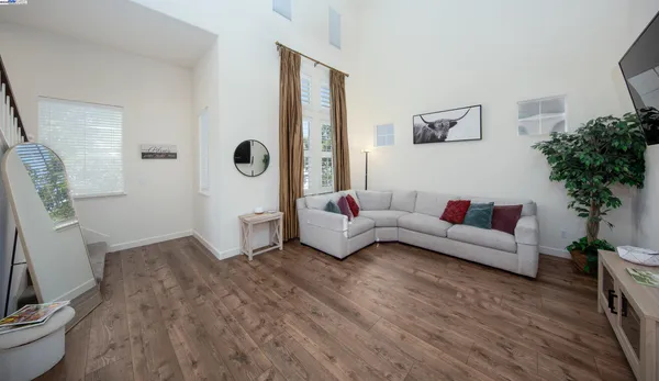 a living room with furniture and a potted plant