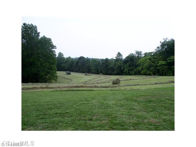0 Dangler Mountain Road Stuart, VA 24171 - Photo 16 of 27 Land/Lot. Stream branch, extensive fencing, three gated pastures, electrical fence charger.