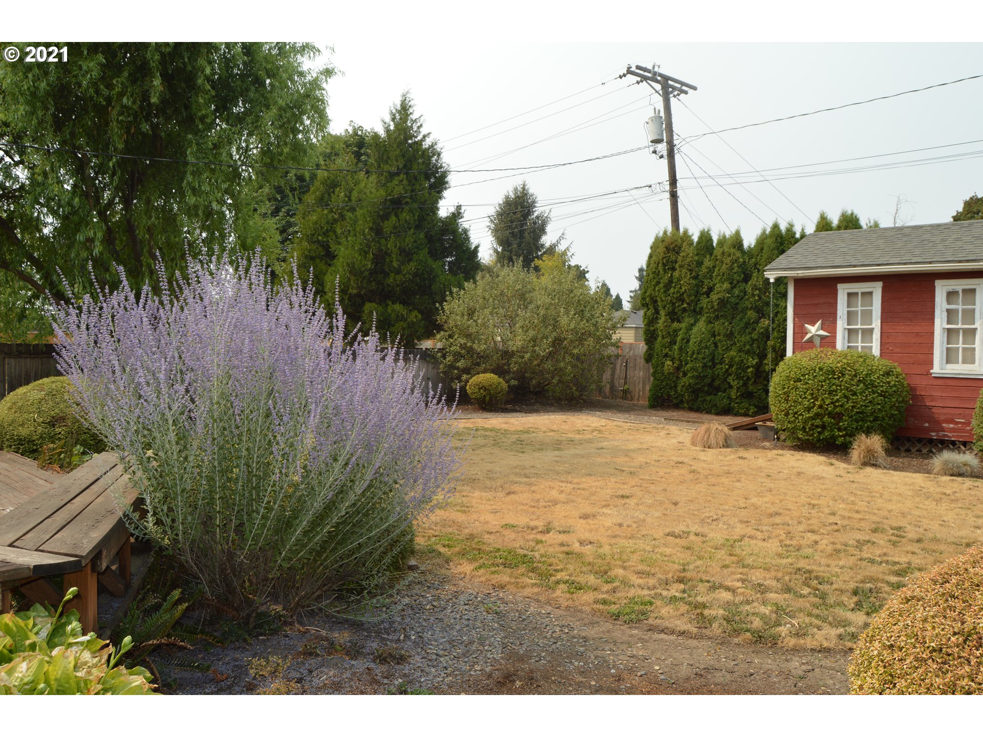 1544 A Street Springfield, OR 97477 - Photo 22 of 28 a view of a backyard of the house