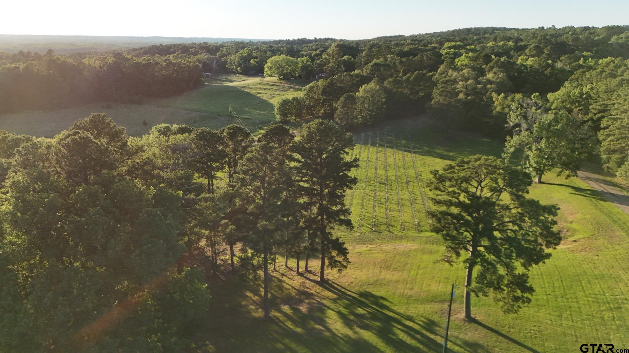 0 County Road 2680 Hawkins, TX 75765 - Photo 22 of 38