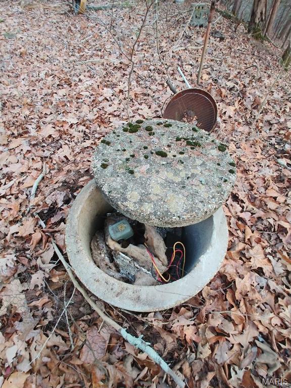 0 Thurman Lake Road Cuba, MO 65453 - Photo 5 of 17