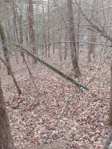 $178,000 | 0 Thurman Lake Road, Cuba, MO 65453