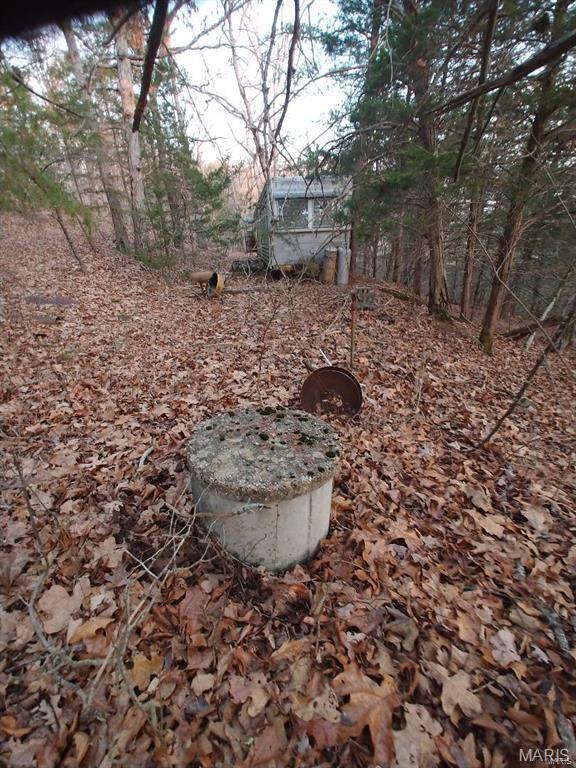 0 Thurman Lake Road Cuba, MO 65453 - Photo 6 of 17