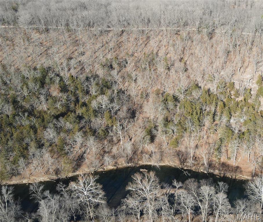 0 Thurman Lake Road Cuba, MO 65453 - Photo 10 of 17