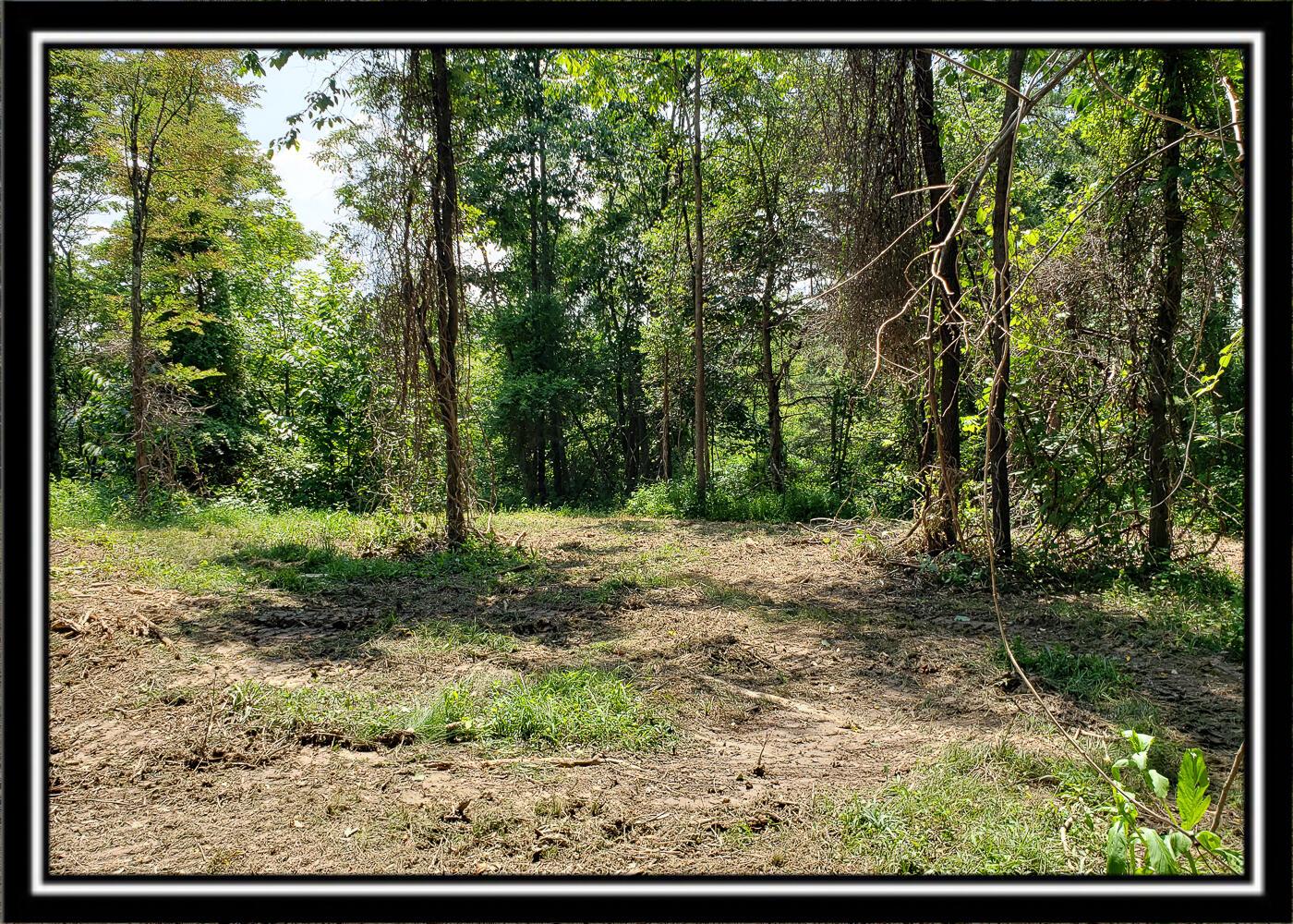 0 Bethel Road, Unit TRACT 4 Patriot, OH 45658 - Photo 33 of 35 CT-33