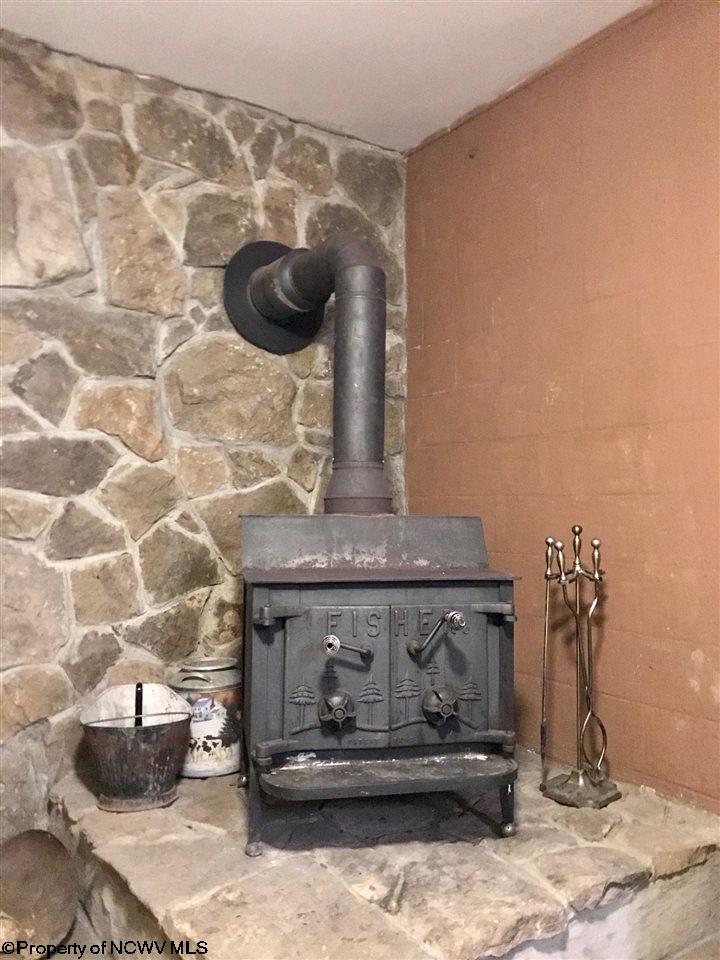 868 Cabin Mountain Road Davis, WV 26260 - Photo 22 of 30 Gallery Image 22