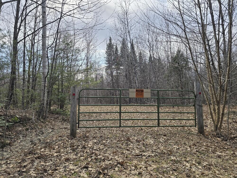 Lot 74 Flagg Road New Sharon, ME 04955 - Photo 2 of 9 20250424_154251_resized
