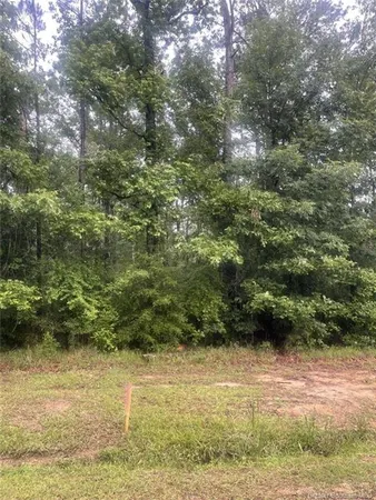 $22,500 | 0 Ernest Drive, Ragley, LA 70657