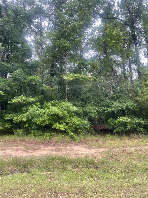 0 Ernest Drive Ragley, LA 70657 - Photo 2 of 2