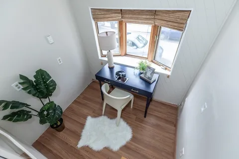 a living room with furniture and a potted plant