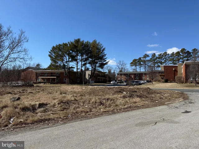 a view of a backyard with large trees