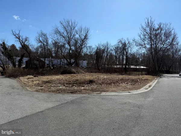 a view of dirt yard with large trees