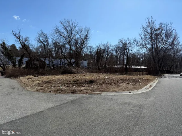 a view of dirt yard with large trees