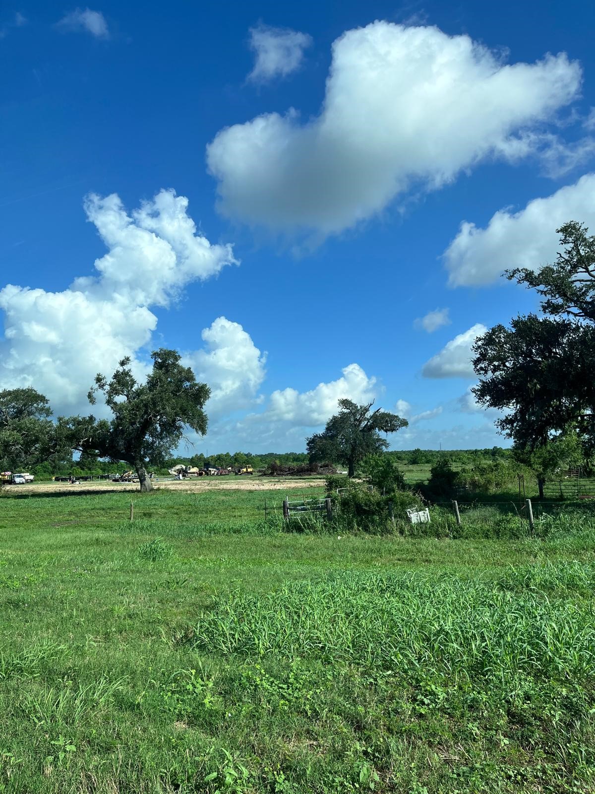 8214 Highway 35 Angleton, TX 77515 - Photo 2 of 8 a view of a big yard with a large tree