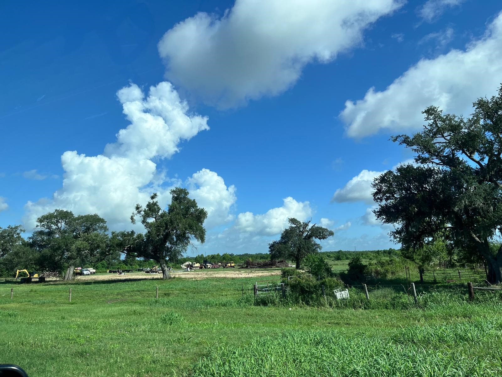 8214 Highway 35 Angleton, TX 77515 - Photo 3 of 8 a view of a flower in a yard