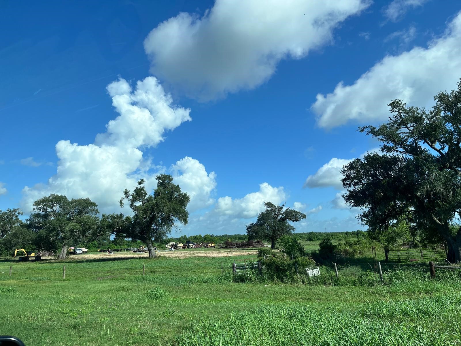 8214 Highway 35 Angleton, TX 77515 - Photo 4 of 8 a view of a flower in a garden