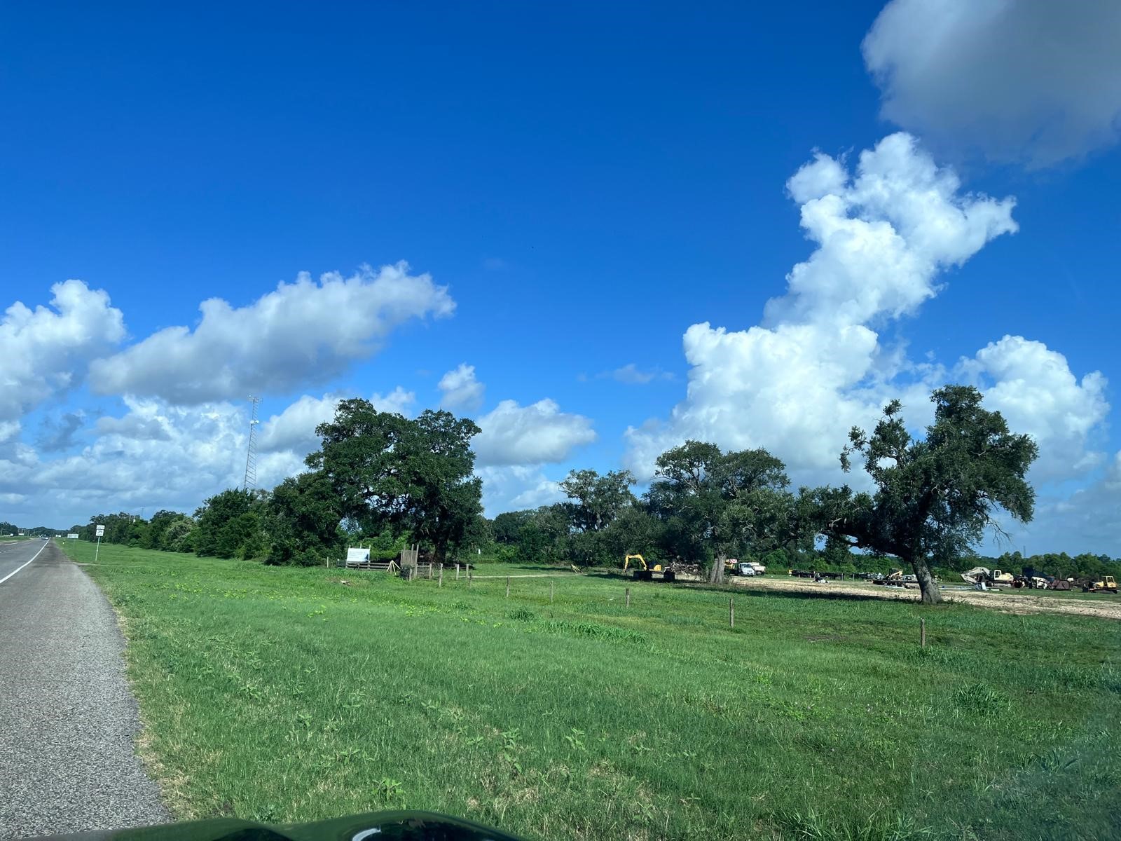 8214 Highway 35 Angleton, TX 77515 - Photo 5 of 8 a view of a yard with grass and trees