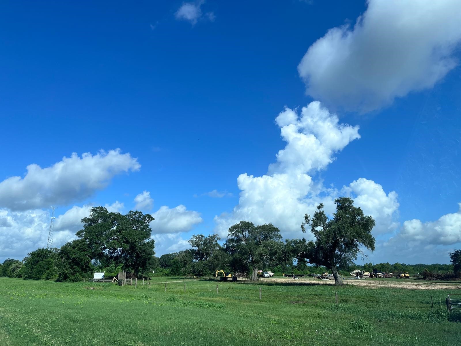 8214 Highway 35 Angleton, TX 77515 - Photo 6 of 8 a view of a big yard with large trees