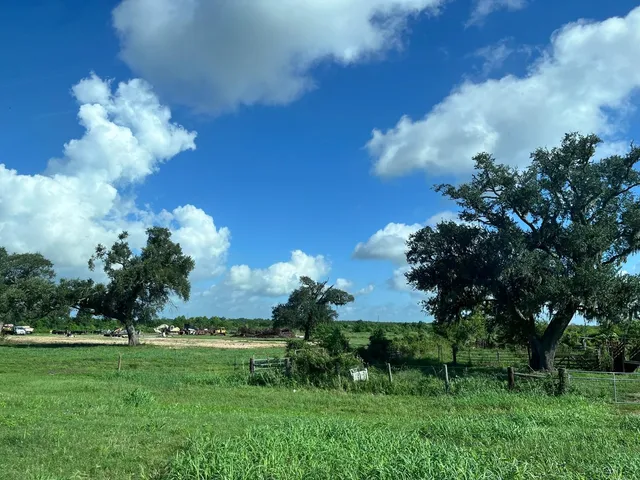 a view of a flower in a garden