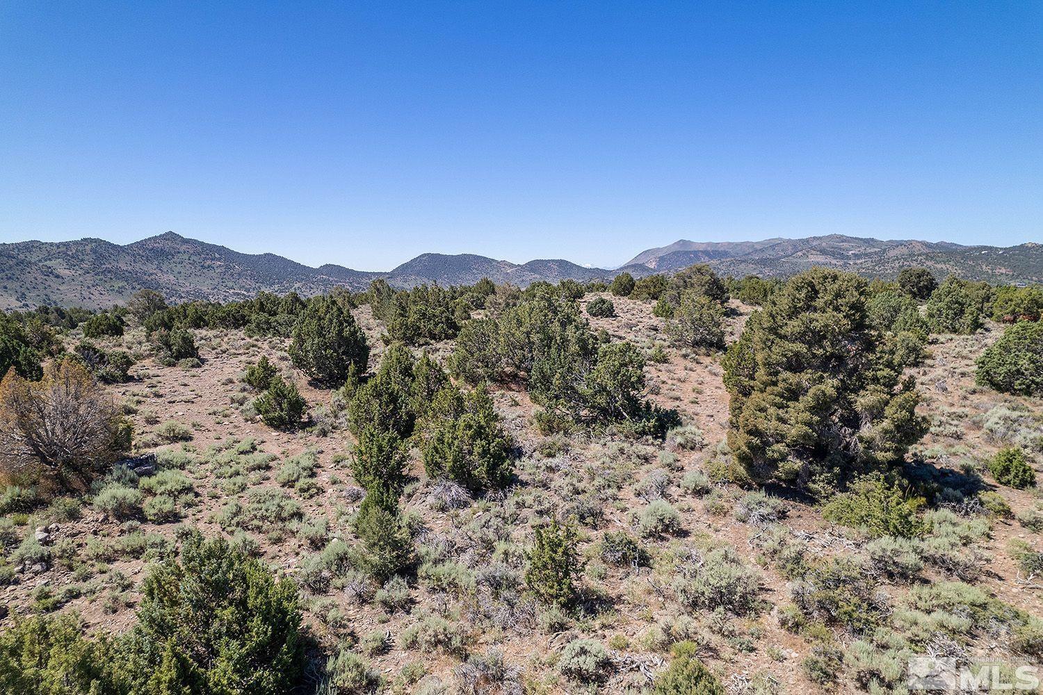 4360 Rocky Road, Unit 436 Reno, NV 89521 - Photo 6 of 6 a view of a mountain range with trees in the background
