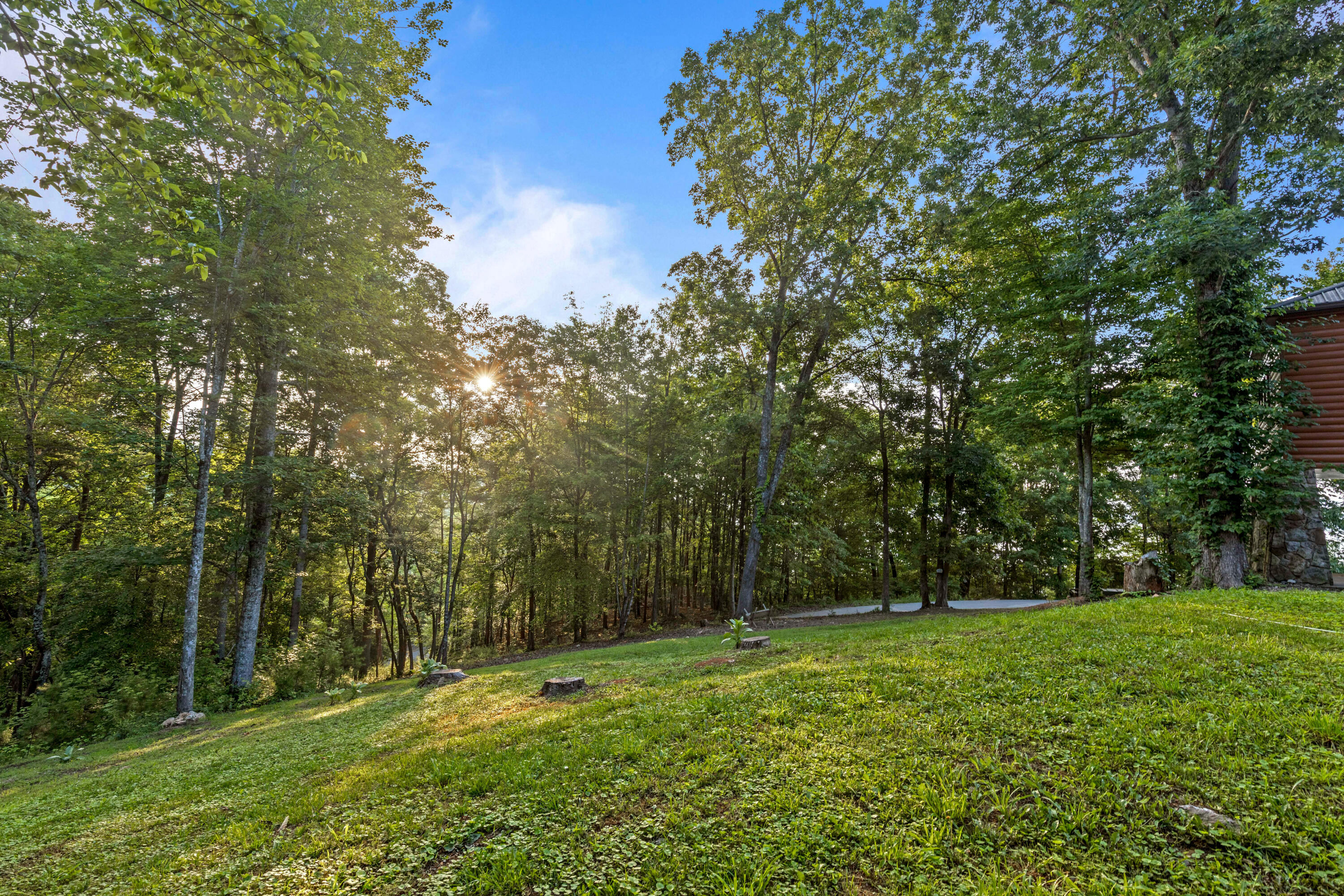 260 Lakeside Lodge Road Spring City, TN 37381 - Photo 86 of 175 Lakeside-76