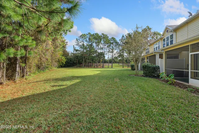 a view of a field with a tree