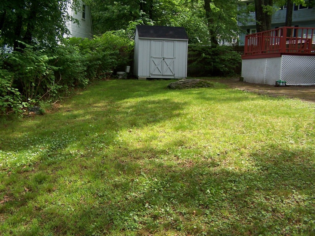 3 Martindale Road Randolph, MA 02368 - Photo 6 of 19 Gallery Image 6