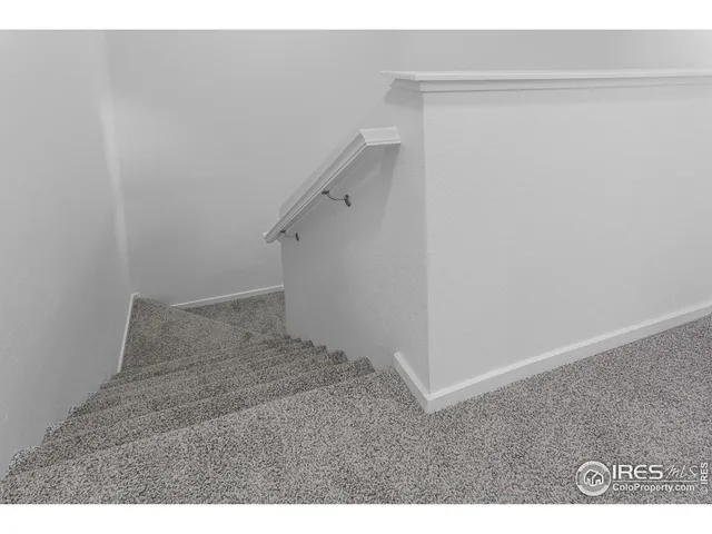 $446,270 | 4894 River Roads Drive, Timnath, CO 80547