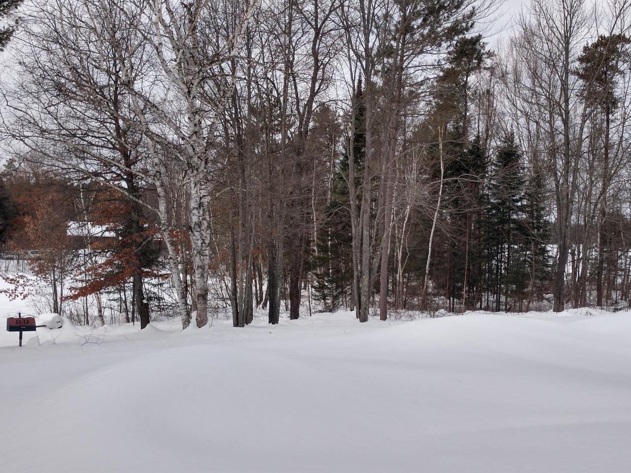 On On Riedel Trail Tomahawk, WI 54487 - Photo 11 of 18 Gallery Image 11