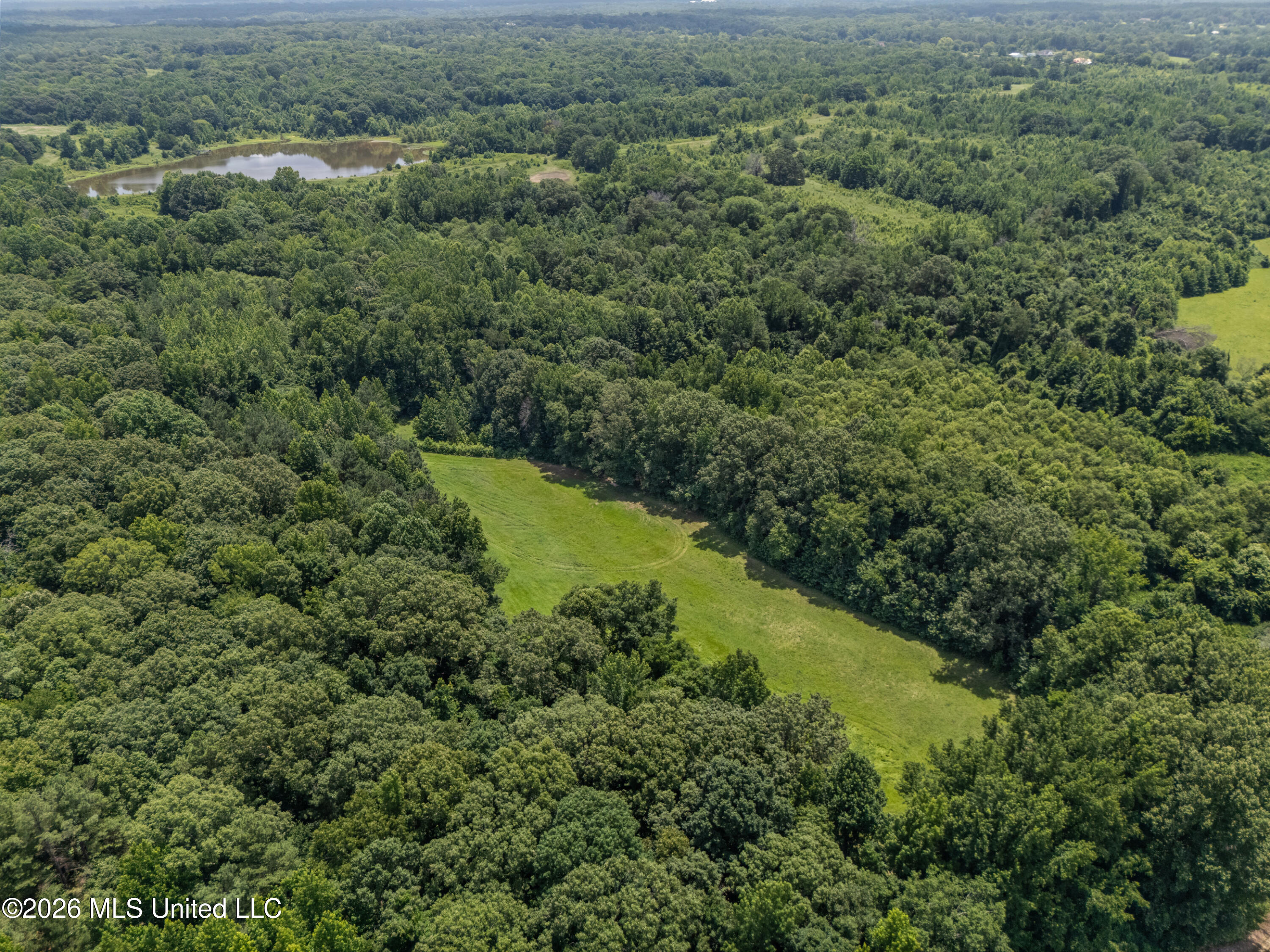 0 Freeman Drive Coldwater, MS 38618 - Photo 8 of 15 dji_20260701124509_0096_d_print