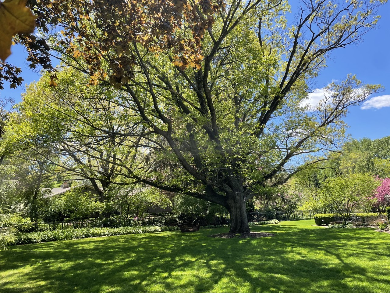 727 Sunset Road Geneva, IL 60134 - Photo 102 of 114