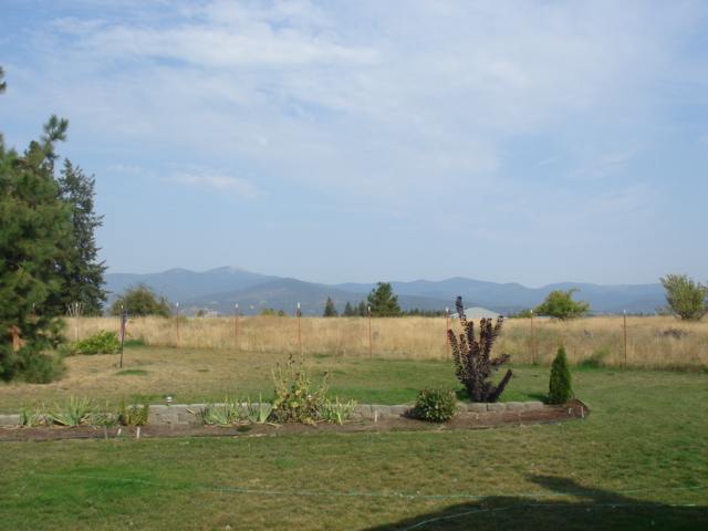 8617 East Greenbluff Road Colbert, WA 99005 - Photo 8 of 9