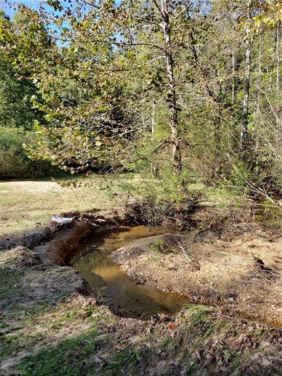 595 John Mickles Road Pinnacle, NC 27043 - Photo 11 of 20