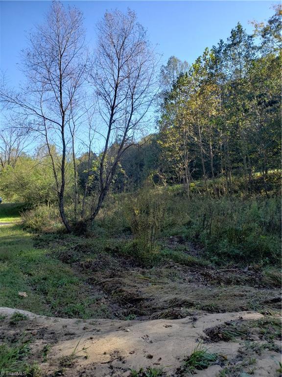 595 John Mickles Road Pinnacle, NC 27043 - Photo 15 of 20